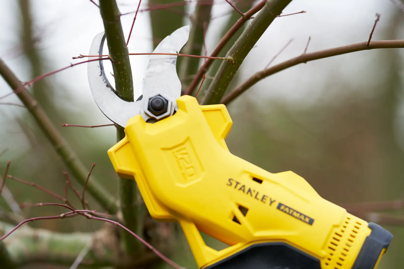 STANLEY SFMCPP32M1 kabellose Gartenschere schneidet Ast, Nahaufnahme im Freien.