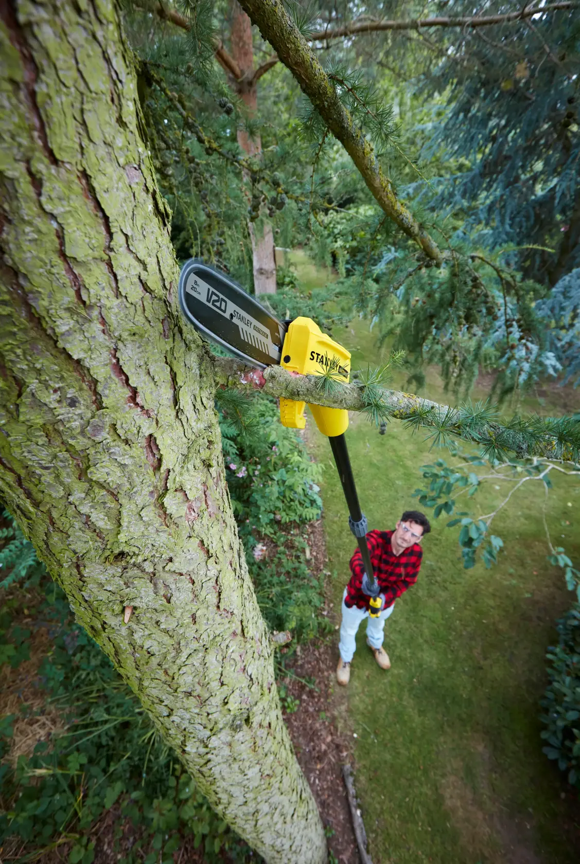 STANLEY SFMCPS620M1 Hochentaster schneidet hohen Ast im Garten, Nutzer im Karogewand arbeitet von unten.